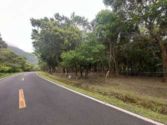 Paved road beside flat wooded lot in El Valle Calle del Nispero Panama