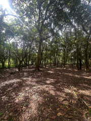 Land for Sale in Antón - 0 bedrooms