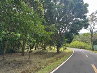 Curved mountain road leading to El Valle Calle del Nispero lot for sale