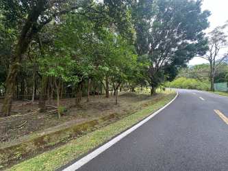 Roadside view of wooded land for sale in El Valle Calle del Nispero