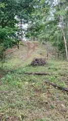 Land for Sale in La Colorada - 0 bedrooms