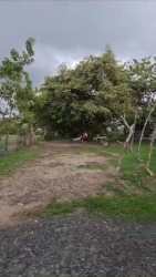 Aerial coastal residential area with beachfront resorts, pools and ocean, Coronado Panama