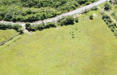 Aerial photo showcasing entire large developable land plot with bordering trees Penonomé Sardinas Coclé Panama