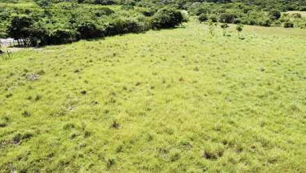 Large 9,178m² Land for Sale Penonomé Coclé Panama