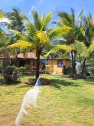 Lush tropical gardens with palms at beachfront villa for sale Punta Barco Panama