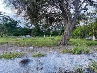 Entry access road and frontage of beachfront land in Coclé Panama