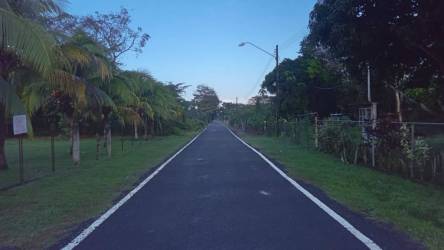 Tropical greenery and palm trees lining the paved road towards Juan Hombrón beach lot