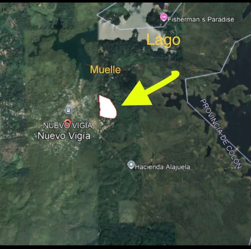 Cocoa beans drying on racks under shaded trees on tropical farm in Panama