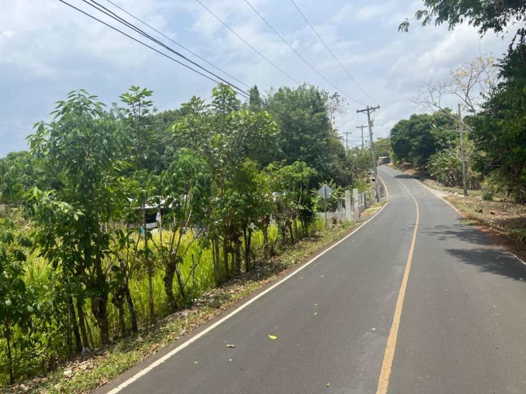 Paved rural road with greenery leading to botanical estate in Chilibre Panama