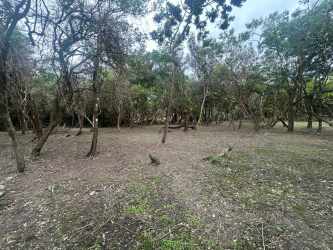 Large forested development lot for sale in El Valle de Antón with mature trees and mountain views