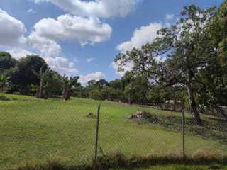 Land for Sale in Guadalupe - 0 bedrooms