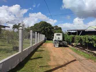 Rural fenced property with gravel driveway mature tree and open sky in Guadalupe La Chorrera Panama