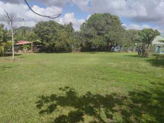 Large open grassy yard with surrounding trees and clear sky in Guadalupe La Chorrera Panama