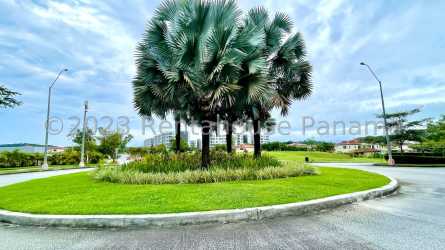 Resort-style pool with palm trees and lounge deck at PH Midrise Panama Pacifico