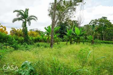 Vacant 1,000m2 tropical lot full of palm trees and banana plants inside private community Bugaba Panama