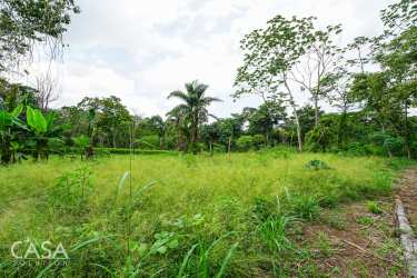 Tropical landscape with mountain views featuring tall palms on a 1000m2 flat lot in Chiriquí Panama