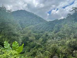 Land / Farm / Estate for Sale in La Mesa - 0 bedrooms