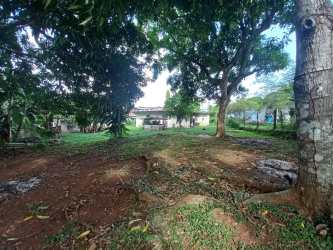 Large backyard with mature trees garden area house for sale Vista Alegre Arraiján