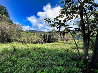 Lot / Land for Sale in Altos del María - Valencia sector - 0 bedrooms