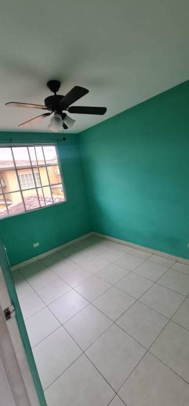 Bedroom featuring turquoise walls, window, ceiling fan in Dorado Lake Residence Panama