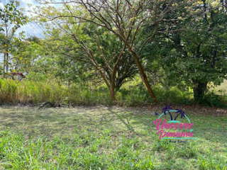Land for Sale in Antón - 0 bedrooms