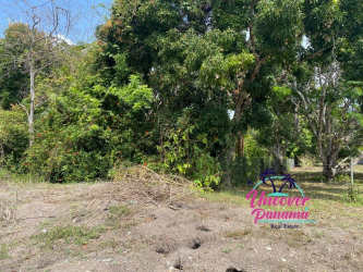 Cleared beachside lot with view towards tropical vegetation Santa Clara Panama