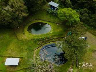 Two natural ponds surrounded by greenery at Monte Sereno eco community Volcán