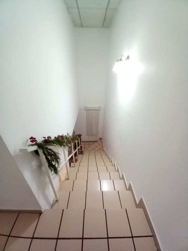 Tiled stairway with metal railing and potted plants inside Condado del Rey house Panama