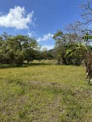 Titled land for sale flat with vegetation and mountain scenery in El Valle de Antón