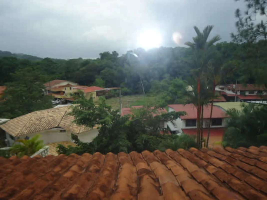 Backyard pool with sun terrace, greenery and privacy wall in Dos Mares Panama City
