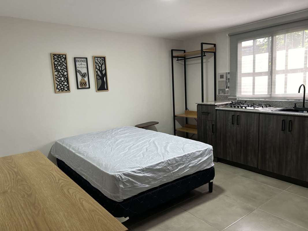 Modern shower bathroom in furnished studio for rent Tocumen with walk-in shower and rain head