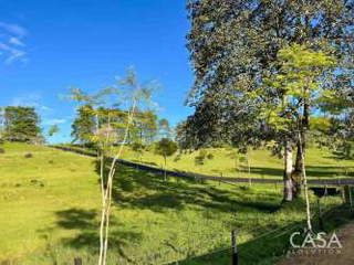 Property for rent in Panama City - 3 bedrooms