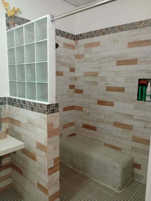 Walk-in shower glass block wall rustic tile modern studio bathroom Chanis Panama