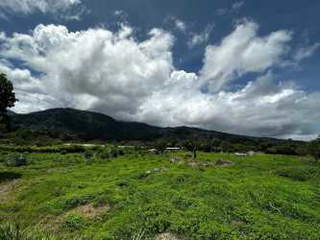 Land for Sale in Jaramillo - 0 bedrooms