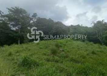 Green residential mountain lot with forest backdrop Altos de María Panama