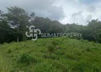 Wooded green vacant lot with mountain scenery Altos de María Chame Panama
