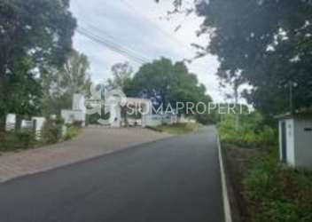 Vacant grassy residential land surrounded by mountain greenery in Altos de María Panama