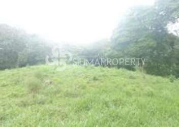 Grassy residential lot surrounded by mountain forest panorama in Altos de María