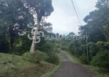 Open residential lot with green forest and mountain views in Altos de María