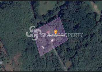 Entrance road surrounded by dense forest on 10-hectare property in Penonomé Panama