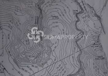 Topographic survey with contour lines for 10.5 hectare investment lot near Penonomé