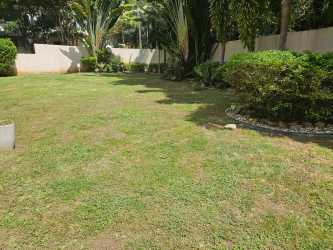 Fenced lush backyard with grass lawn and tropical landscaping at Nativa community home