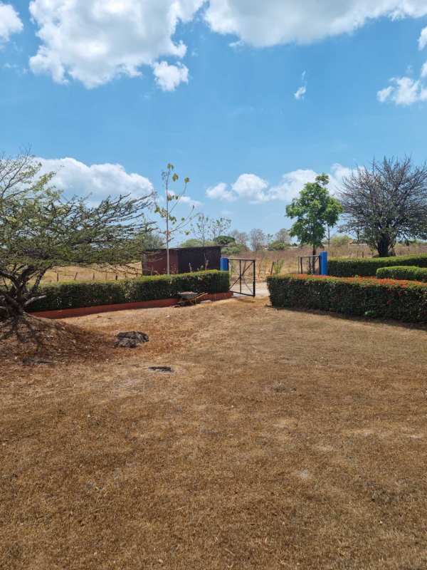 Rural gated entry with hedge fencing and dry lawn on Chilibre Panama investment land for sale