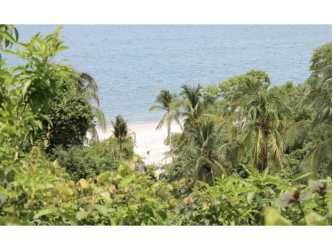 Beachfront Development Land for Sale Coclé Panama