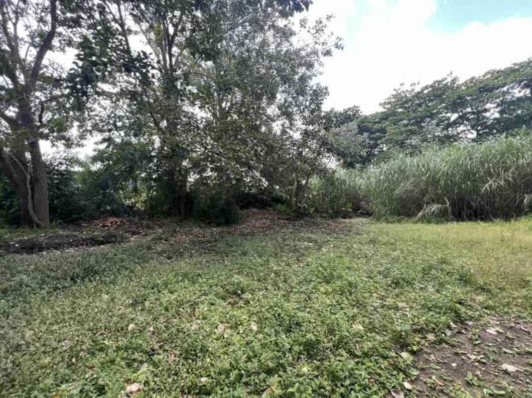 Bank repo residential lot with garden landscape and trees Ciudad Radial Panama