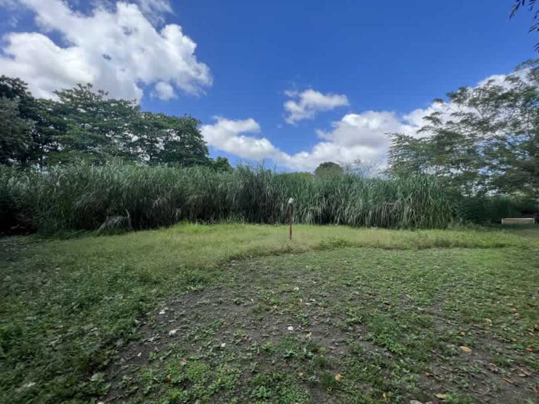 Vacant land parcel with natural foliage and flat terrain ideal for development in Ciudad Radial