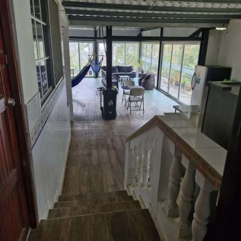 Spacious fenced backyard with greenhouse, banana trees, grassy yard in Altos de Cerro Azul Panama