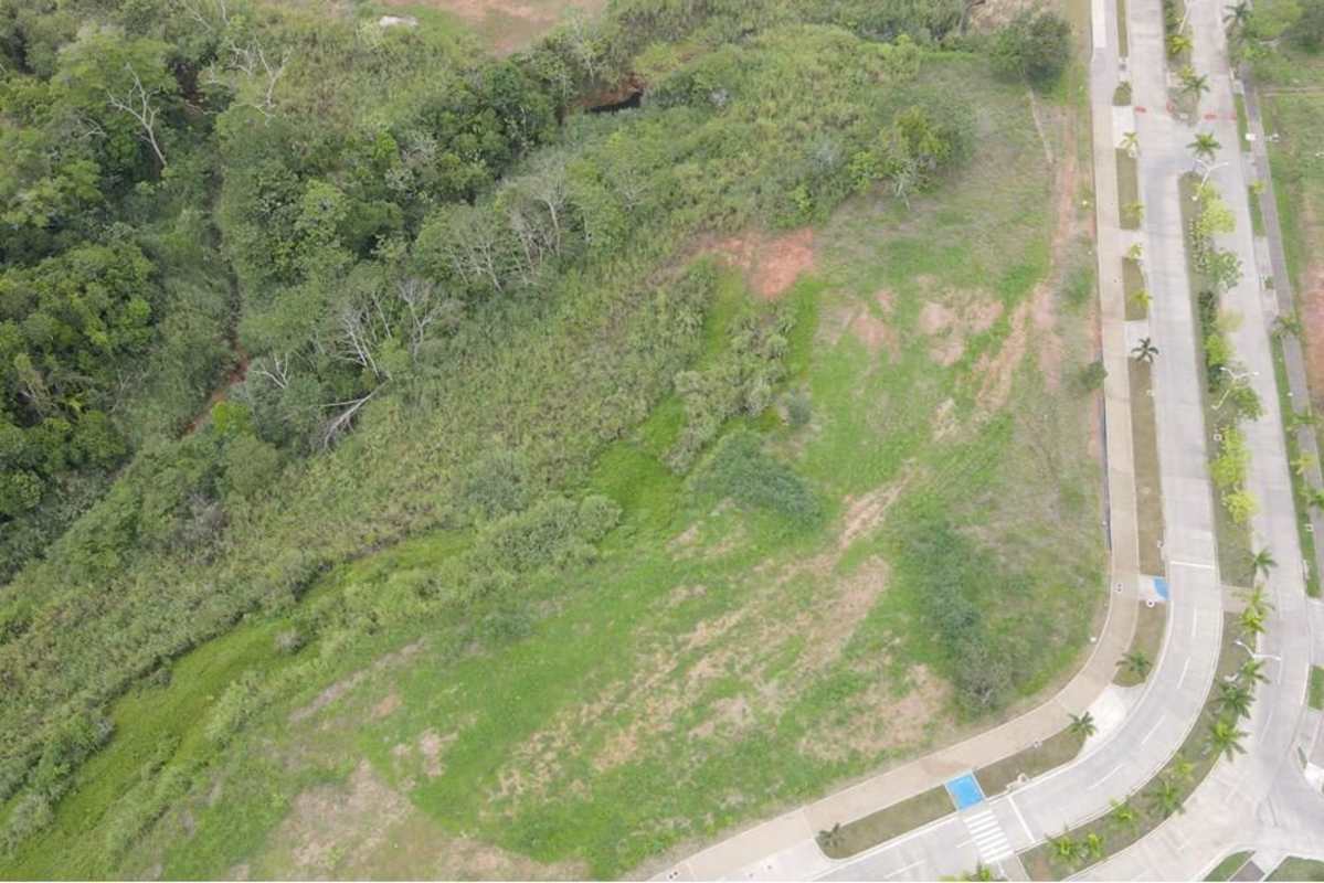 Commercial land fronting Metropolitan School in Green Valley Smart City Panama