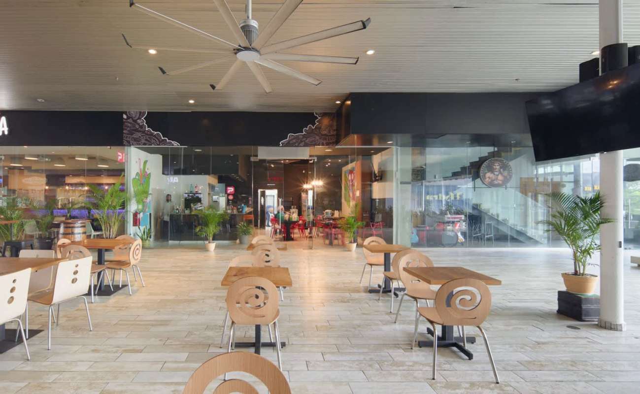 Modern restaurant seating with glass storefront and plants at Boutique Balboa Panama City