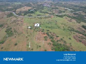 Land survey map showing 152 hectare cattle farm with lot dimensions and boundary along Interamericana in La Mesa